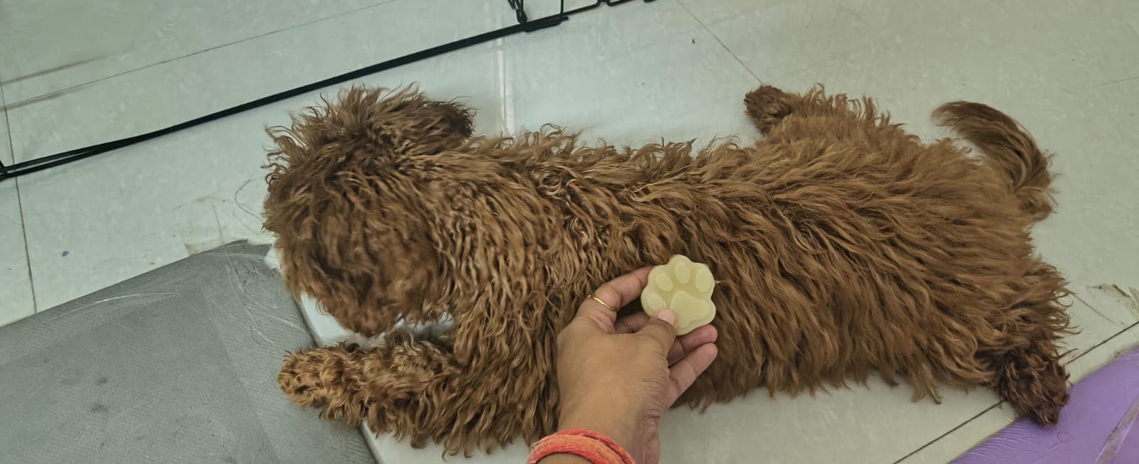 Gentle Fur Bar thumbnail 3