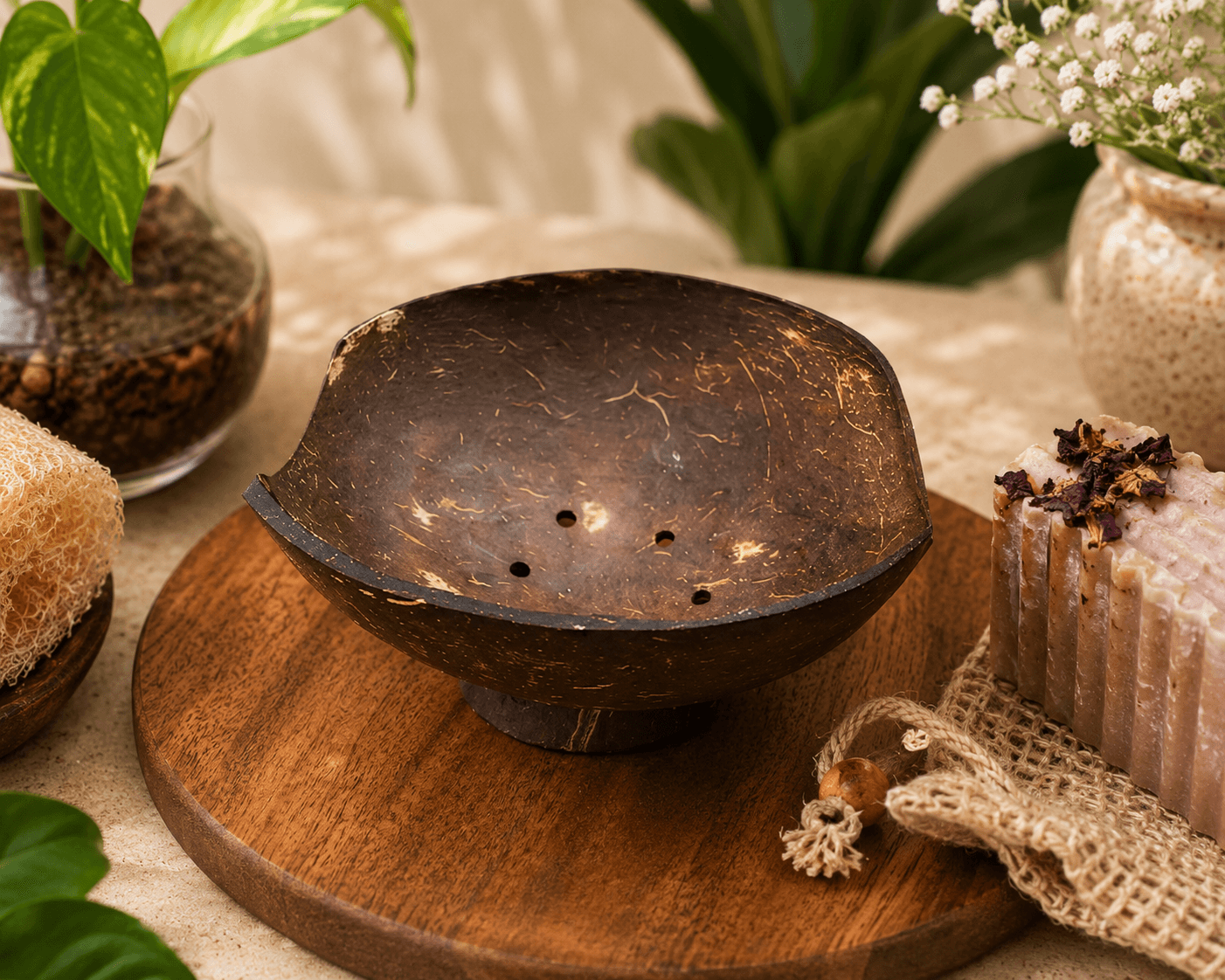 Coconut Shell Bowl